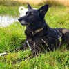 SUZANA - aktive, tolle Lady