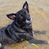 SUZANA - aktive, tolle Lady