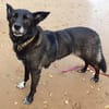 SUZANA - aktive, tolle Lady