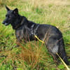 SUZANA - aktive, tolle Lady