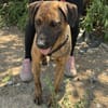 Abenteuer Bruno sucht seine Familie!