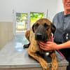 Abenteuer Bruno sucht seine Familie!