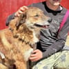 Marius ist ein Gute-Laune-Hund