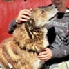 Marius ist ein Gute-Laune-Hund
