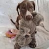 Jasper - junger Wilder sucht Zuhause
