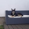 Wer schenkt Pearl ein Zuhause?