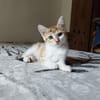 ABY