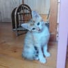 ABY