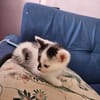 Czwartek