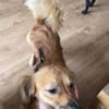 LOTTI 2 ist zauberhaft