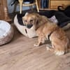 LOTTI 2 ist zauberhaft