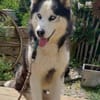 FELIX 2 ist liebenswert und freundlich