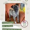 Rifki sucht ab November ein zu Hause