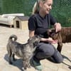 Rifki sucht ab November ein zu Hause