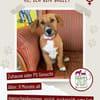Kleine Bailey sucht ab Nov ein zu Hause