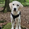 Freya, niedliche Sportskanone, 4M 45468