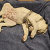 Freya, niedliche Sportskanone, 4M 45468