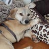 Kleiner Piro wartet auf netten Besuch!