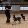 Zuhause gesucht für unsere sanfte Minnie