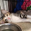 Malina und Ljuba aus dem Tierschutz