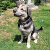 Senior Merlin hat 2. Chance verdient