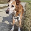 Opa Otto erobert die Herzen im Sturm