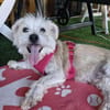 💛 BOUBI 💛 - SUCHT NEUES ZUHAUSE!