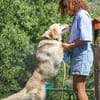 ein Traum auf 4 Beinen- Alexa