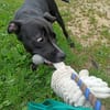 Pako