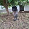 COOPER