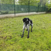 COOPER