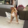 Ren, la joie de vivre