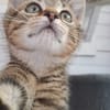 JIM