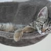 TOM