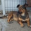 TOPAZIA