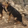 Die 3 Musketiere