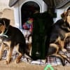 Die 3 Musketiere