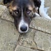 Wundervoll Betty sucht souverän Menschen