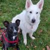 Cara 💜💜💜 Happy-Home gesucht