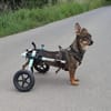 liebe kara sucht ihre Menschen