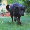 Elsa sucht ihr Happy End