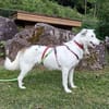 ROONA - intelligent & schön