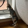 Malina und Ljuba aus dem Tierschutz