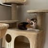 Malina und Ljuba aus dem Tierschutz