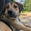 Lerne Nena (1,5 Jahre) in Leipzig kennen