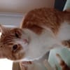 Rocky & Benito suchen Ihr Glück!