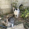 Teddy und Mousy aus dem Tierschutz