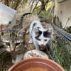 Teddy und Mousy aus dem Tierschutz