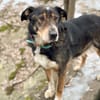 LEVA-liebevolle Familue gesucht