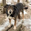 LEVA-liebevolle Familue gesucht